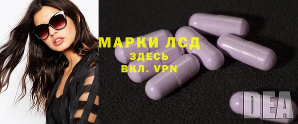 прущие грибы Зерноград