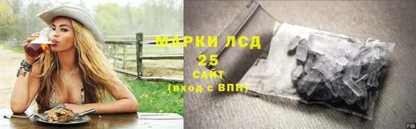 стаф Заводоуковск