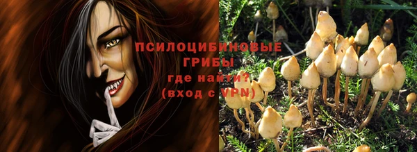 прущие грибы Зерноград