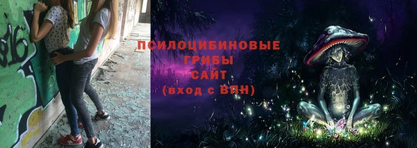 прущие грибы Зерноград