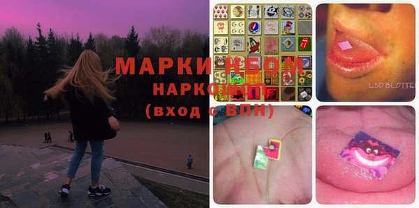 прущие грибы Зерноград
