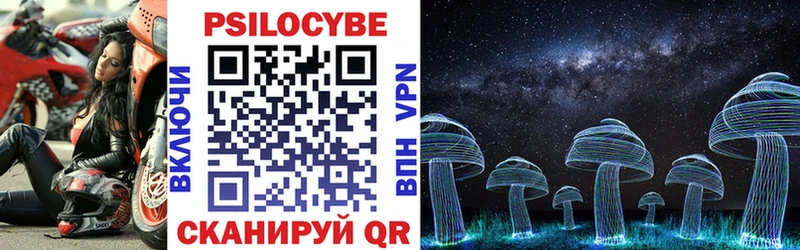 Купить где  Белинский  Галлюциногенные грибы Psilocybine cubensis 